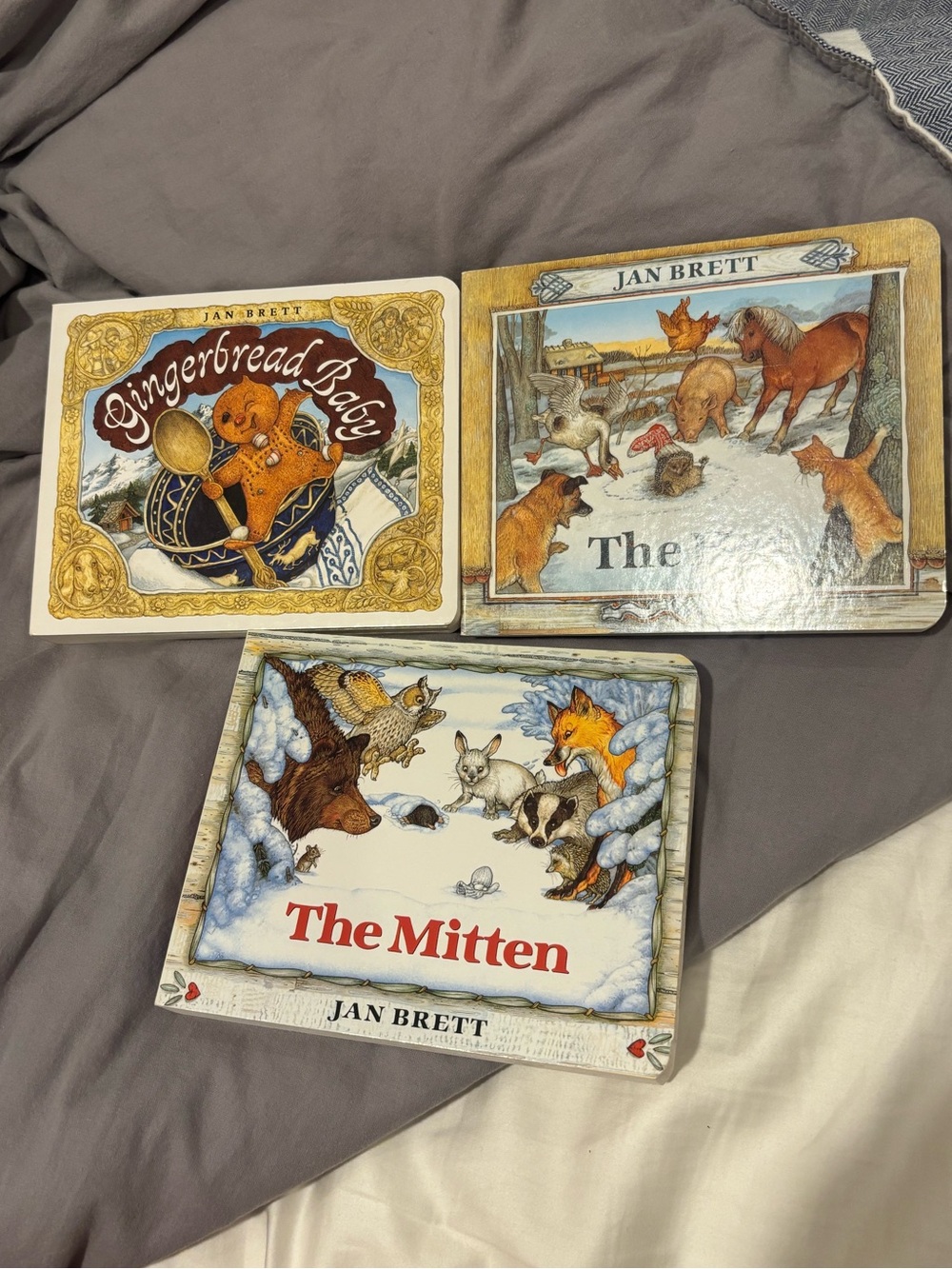 Set of 3 Jan Brett Board Books